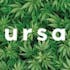 Logo for the brand Ursa Lighting